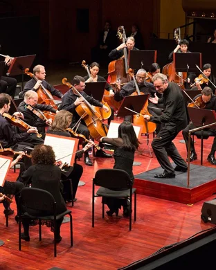 Harry Potter and the Philosopher's Stone In Concert