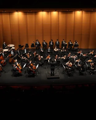 Dr. Seuss' How The Grinch Stole Christmas in Concert
