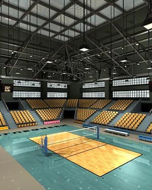 Alberta Pandas Women's Volleyball