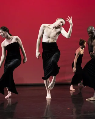 Company Wayne Mcgregor